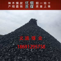 陕西神木县 气煤 矿地原煤卡籽煤煤炭