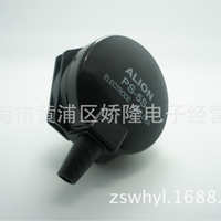 中国大陆 PS-5S 液位正品控制器电极