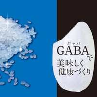日本 砻谷机 精米机碾米机鲜米机胚芽