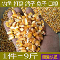 黄玉米 不正常 玉米粒玉米籽粗粮包邮