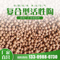 中国 颗粒 净化剂陶多孔异味甲醛