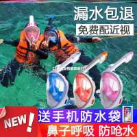 中国 尺码见描述 全干式鱼鳃浮潜面镜