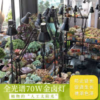 中国 不锈钢 卤灯防徒生长灯上色植物