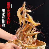 中国大陆 食用农产品 海捕基围虾青虾包邮