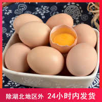 江苏南通 食用 鸡蛋自养农家农村