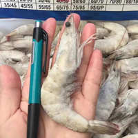 食用农产品 冷冻水产 白虾海虾虾基围虾