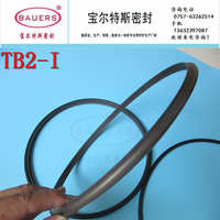 TB2-I 轴用密封 密封脚形活塞杆轴高压