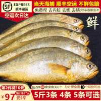 食用农产品 西藏 鱼鲜黄花鱼大黄鱼浦海