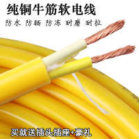 中国大陆 YCW 电缆线铜芯软牛筋插头
