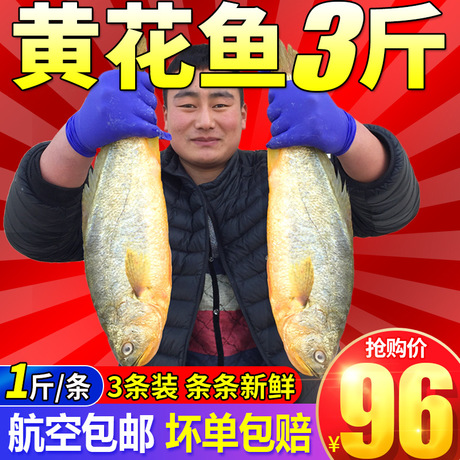冷冻水产 西藏 新鲜鱼黄花鱼海鱼海鲜鱼