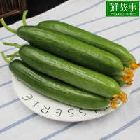 食用农产品 中国大陆 黄瓜圣女果寿光西红柿
