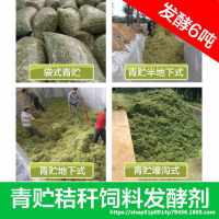 中国 其它 发酵剂牧草黄储青储