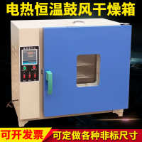 烘箱电热恒温鼓风干燥箱恒温箱烘干箱工业烤箱实验室老化试验箱