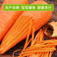 白萝卜 1-0kg 蔬菜价红萝卜胡萝卜特产