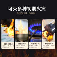 自动灭火装置 中国 溶胶灭火器电表热气