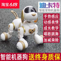 中国大陆  迪卡特机器人遥控智能