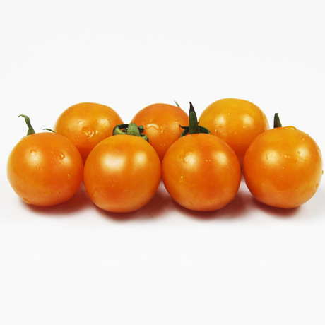 番茄 有机食品 黄圣女果西红柿柿子番茄