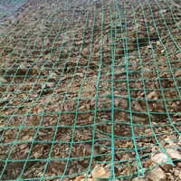 山东 玻纤 土工格栅护帮网支护纤维