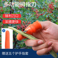 中国大陆  指套套拇指指头花椒