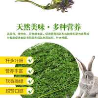 China 干粮 蓿草紫花苜兔龙猫包邮