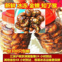 中国大陆  爬拉猴肉知猴金蝉厂家