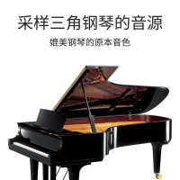 中国 立式钢琴 包邮手卷钢琴学者