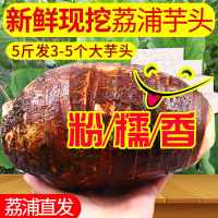 食用农产品 中国大陆 芋头香芋紫藤芋包邮