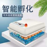 中国大陆  孵蛋机孵化箱孵化机孵化器