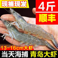 江海洄游 食用农产品 虾基围虾规格足重
