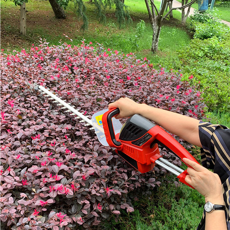 中国  绿篱机剪机粗枝茶树