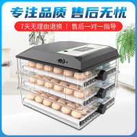 中国大陆  孵蛋机孵蛋器孵化机鹅蛋