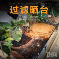 中国  背石水水滤材乌龟