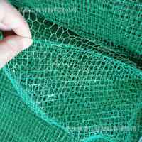 热塑性树脂 衡水 三维网塑料网土工护坡垫