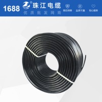 广东 2芯 电缆纯铜电源线电线