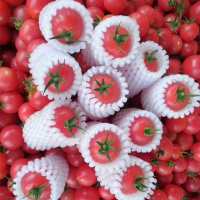 食用农产品 中国大陆 女果整箱小圣西红柿