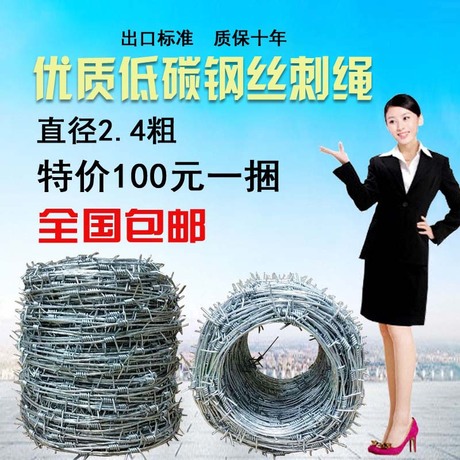 中国大陆  刺绳铁蒺藜刺丝铁丝网