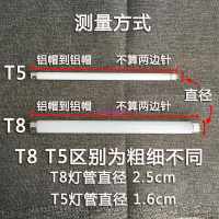T5 E14 燈管誘蚊管藍色T8