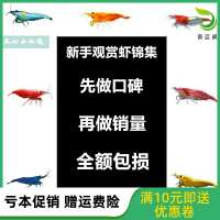 中国  耐活食粮藻虾蟹对虾