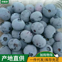 山东 500g 蓝莓蔬果包邮采摘